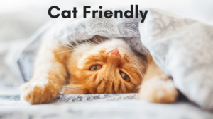 Cat Friendly